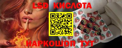 СК Ставрополь