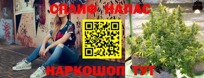шишки Тара