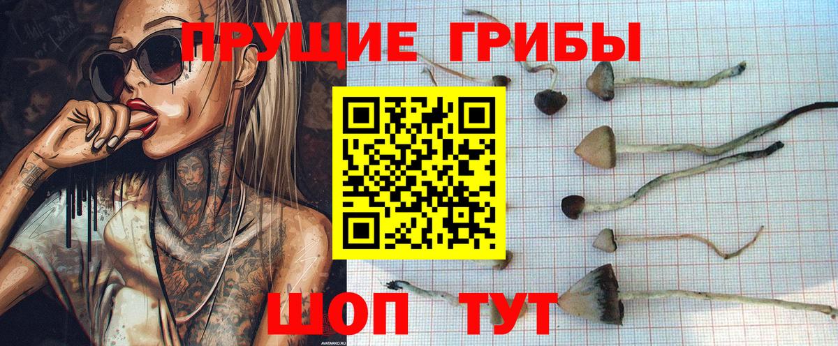 Галлюциногенные грибы мицелий Нурлат